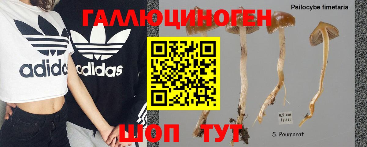Галлюциногенные грибы MAGIC MUSHROOMS Кириши