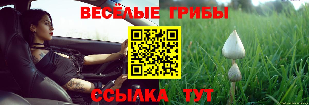 Галлюциногенные грибы мухоморы  Галлюциногенные грибы MAGIC MUSHROOMS  Вход с VPN  Кириши 